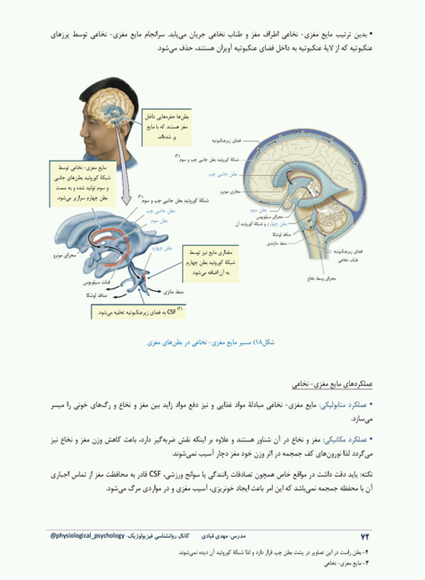 روانشناسی فیزیولوژیک و نوروسایکولوژی